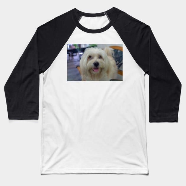 PET DOG Baseball T-Shirt by likbatonboot